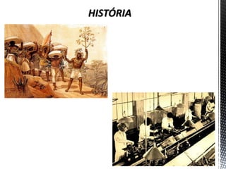 HISTÓRIA  
