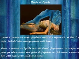 Função de Ligação
O espírito encontra-se numa frequência muito alta enquanto a matéria ( o
corpo, portanto) vibra numa frequência muito baixa.
Assim, o elemento de ligação entre eles deverá, forçosamente, ter campos ou
zonas que vibrem nessas duas faixas de frequência ou, pelo menos, próximo a
elas, para assim poder viabilizar a conexão.
 