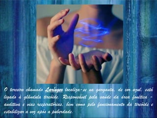 O terceiro chamado Laríngeo localiza-se na garganta, de cor azul, está
ligado à glândula tireóide. Responsável pela saúde da área fonética -
auditiva e vias respiratórias, bem como pelo funcionamento da tireóide e
estabilizar a voz após a puberdade.
 