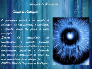 Funções do Perispírito
Função de Contenção:
O perispírito conterá ( no sentido de
delimitar, de dar contornos e aparência)
o espírito, dando-lhe forma à nossa
percepção.
Quando da necessidade da
reencarnação, o espírito precisará
delinear, organizar e delimitar o processo
morfogenético, presidindo a elaboração
das formas e disposições do corpo que
será desenvolvido para albergá-lo.
(MOB– Modelo Organizador Biológico)
 