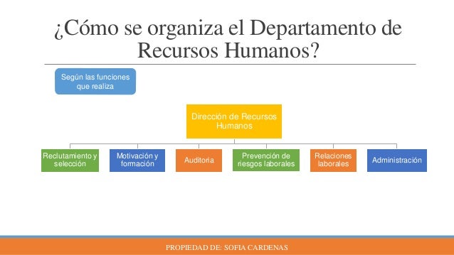 Area De Recursos Humanos Definicion Y Funciones Images
