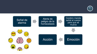 Parte 1 - Regulación Emocional desde el Modelo de Apego y Complejidad ...