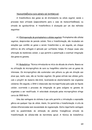 TRANSFERÊNCIA DOS GENES DE INTERESSE:
A transferência dos genes se dá diretamente na célula vegetal, sendo o
processo mais utilizado (especialmente para o caso de monocotiledôneas), ou
através de agrobactérias. A transferência é alcançada por um dos métodos
seguintes:
A-) Eletroporação de protoplastos e células vegetais: Protoplastos são células
vegetais, desprovidas de parede celular. Para a transformação, são incubados em
soluções que contêm os genes a serem transferidos e, em seguida, um choque
elétrico de alta voltagem é aplicado por curtíssimo tempo. O choque causa uma
alteração da membrana celular, o que permite a penetração e eventual integração
dos genes no genoma.
B-) Biobalística: Técnica introduzida no início da década de oitenta. Baseia-se
na utilização de microprojéteis de ouro ou tungstênio cobertos com os genes de
interesse. Os microprojéteis são acelerados com pólvora ou gás em direção aos
alvos que, neste caso, são os tecidos vegetais. Os genes entram nas células junto
com o projétil de maneira não-letal, localizando-se aleatoriamente nas organelas
celulares. Em seguida, o DNA é dissociado das micropartículas pela ação do líquido
celular, ocorrendo o processo de integração do gene exógeno no genoma do
organismo a ser modificado. A velocidade alcançada pelos microprojéteis atinge
cerca de 1500 Km/h.
Uma das vantagens do sistema é que este permite a introdução e expressão
gênica em qualquer tipo de célula. Assim, foi permitida a transformação in situ de
células diferenciadas sem necessidade de regeneração. Outra importante vantagem
está na possibilidade de obtenção de plantas transgênicas através da
transformação de células-mãe do meristema apical. A técnica de biobalística
69
 