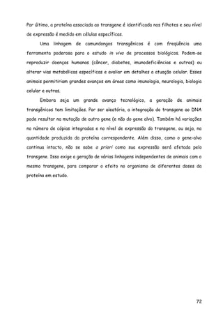Por último, a proteína associada ao transgene é identificada nos filhotes e seu nível
de expressão é medido em células específicas.
Uma linhagem de camundongos transgênicos é com freqüência uma
ferramenta poderosa para o estudo in vivo de processos biológicos. Podem-se
reproduzir doenças humanas (câncer, diabetes, imunodeficiências e outras) ou
alterar vias metabólicas específicas e avaliar em detalhes a atuação celular. Esses
animais permitiriam grandes avanços em áreas como imunologia, neurologia, biologia
celular e outras.
Embora seja um grande avanço tecnológico, a geração de animais
transgênicos tem limitações. Por ser aleatória, a integração do transgene ao DNA
pode resultar na mutação de outro gene (e não do gene alvo). Também há variações
no número de cópias integradas e no nível de expressão do transgene, ou seja, na
quantidade produzida da proteína correspondente. Além disso, como o gene-alvo
continua intacto, não se sabe a priori como sua expressão será afetada pelo
transgene. Isso exige a geração de várias linhagens independentes de animais com o
mesmo transgene, para comparar o efeito no organismo de diferentes doses da
proteína em estudo.
72
 