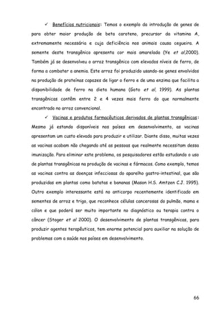  Benefícios nutricionais: Temos o exemplo da introdução de genes de
para obter maior produção de beta caroteno, precursor da vitamina A,
extremamente necessária e cuja deficiência nos animais causa cegueira. A
semente deste transgênico apresenta cor mais amarelada (Ye et al,2000).
Também já se desenvolveu o arroz transgênico com elevados níveis de ferro, de
forma a combater a anemia. Este arroz foi produzido usando-se genes envolvidos
na produção de proteínas capazes de ligar o ferro e de uma enzima que facilita a
disponibilidade de ferro na dieta humana (Goto et al, 1999). As plantas
transgênicas contêm entre 2 e 4 vezes mais ferro do que normalmente
encontrado no arroz convencional.
 Vacinas e produtos farmacêuticos derivados de plantas transgênicas:
Mesmo já estando disponíveis nos países em desenvolvimento, as vacinas
apresentam um custo elevado para produzir e utilizar. Diante disso, muitas vezes
as vacinas acabam não chegando até as pessoas que realmente necessitam dessa
imunização. Para eliminar este problema, os pesquisadores estão estudando o uso
de plantas transgênicas na produção de vacinas e fármacos. Como exemplo, temos
as vacinas contra as doenças infecciosas do aparelho gastro-intestinal, que são
produzidas em plantas como batatas e bananas (Mason H.S. Amtzen C.J. 1995).
Outro exemplo interessante está no anticorpo recentemente identificado em
sementes de arroz e trigo, que reconhece células cancerosas do pulmão, mama e
cólon e que poderá ser muito importante no diagnóstico ou terapia contra o
câncer (Stoger et al 2000). O desenvolvimento de plantas transgênicas, para
produzir agentes terapêuticos, tem enorme potencial para auxiliar na solução de
problemas com a saúde nos países em desenvolvimento.
66
 