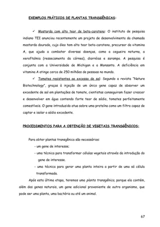 EXEMPLOS PRÁTICOS DE PLANTAS TRANSGÊNICAS:
 Mostarda com alto teor de beta-caroteno: O instituto de pesquisa
indiano TEI anunciou recentemente um projeto de desenvolvimento da chamada
mostarda dourada, cujo óleo tem alto teor beta-caroteno, precursor da vitamina
A, que ajuda a combater diversas doenças, como a cegueira noturna, a
xeroftalmia (ressecamento da córnea), diarréias e sarampo. A pesquisa é
conjunta com a Universidade de Michigan e a Monsanto. A deficiência em
vitamina A atinge cerca de 250 milhões de pessoas no mundo.
 Tomates resistentes ao excesso de sal: Segundo a revista “Nature
Biotechnology”, graças à injeção de um único gene capaz de absorver um
excedente de sal em plantações de tomate, cientistas conseguiram fazer crescer
e desenvolver em água contendo forte teor de sódio, tomates perfeitamente
comestíveis. O gene introduzido atua sobre uma proteína como um filtro capaz de
captar e isolar o sódio excedente.
PROCEDIMENTOS PARA A OBTENÇÃO DE VEGETAIS TRANSGÊNICOS:
Para obter plantas transgênica são necessários:
- um gene de interesse;
- uma técnica para transformar células vegetais através da introdução do
gene de interesse.
- uma técnica para gerar uma planta inteira a partir de uma só célula
transformada.
Após esta última etapa, teremos uma planta transgênica, porque ela contém,
além dos genes naturais, um gene adicional proveniente de outro organismo, que
pode ser uma planta, uma bactéria ou até um animal.
67
 