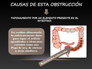 Heces fecales endurecidas
Un residuo alimentario
lo suficientemente duro
para tapar el orificio
apendicular o elementos
extraños como una
Pepa de uva, de cítricos
u otros similares.
 