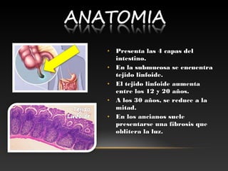 • Presenta las 4 capas delPresenta las 4 capas del
intestino.intestino.
• En la submucosa se encuentraEn la submucosa se encuentra
tejido linfoide.tejido linfoide.
• El tejido linfoide aumentaEl tejido linfoide aumenta
entre los 12 y 20 años.entre los 12 y 20 años.
• A los 30 años, se reduce a laA los 30 años, se reduce a la
mitad.mitad.
• En los ancianos sueleEn los ancianos suele
presentarse una fibrosis quepresentarse una fibrosis que
oblitera la luz.oblitera la luz.
 