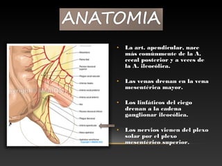 • La art. apendicular, naceLa art. apendicular, nace
más comúnmente de la A.más comúnmente de la A.
cecal posterior y a veces dececal posterior y a veces de
la A. ileocólica.la A. ileocólica.
• Las venas drenan en la venaLas venas drenan en la vena
mesentérica mayor.mesentérica mayor.
• Los linfáticos del ciegoLos linfáticos del ciego
drenan a la cadenadrenan a la cadena
ganglionar ileocólica.ganglionar ileocólica.
• Los nervios vienen del plexoLos nervios vienen del plexo
solar por el plexosolar por el plexo
mesentérico superior.mesentérico superior.
 