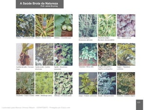 111
Licenciado para Marcos Vinicius Ribeiro - 33546753810 - Protegido por Eduzz.com
 