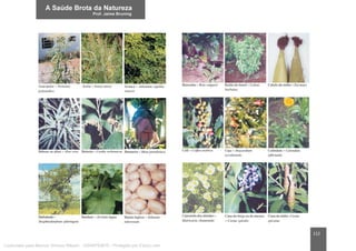 112
Licenciado para Marcos Vinicius Ribeiro - 33546753810 - Protegido por Eduzz.com
 