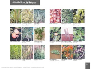 113
Licenciado para Marcos Vinicius Ribeiro - 33546753810 - Protegido por Eduzz.com
 