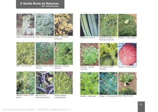 116
Licenciado para Marcos Vinicius Ribeiro - 33546753810 - Protegido por Eduzz.com
 