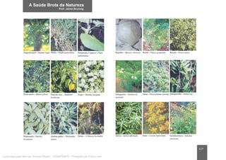 117
Licenciado para Marcos Vinicius Ribeiro - 33546753810 - Protegido por Eduzz.com
 