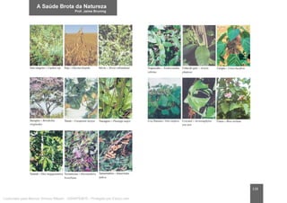 118
Licenciado para Marcos Vinicius Ribeiro - 33546753810 - Protegido por Eduzz.com
 