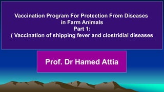 Prof. Dr Hamed Attia
Vaccination Program For Protection From Diseases
in Farm Animals
Part 1:
( Vaccination of shipping fever and clostridial diseases
 