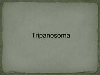 Tripanosoma 