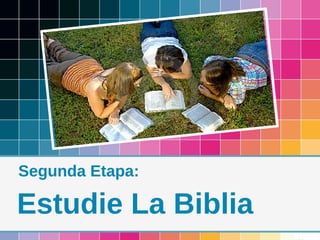 Segunda Etapa:

Estudie La Biblia
 