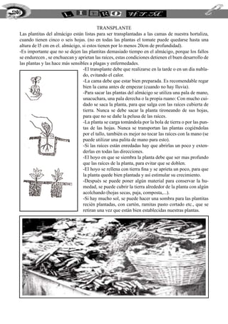 246


                                           TRANSPLANTE
  Las plantitas del almácigo están listas para ser transplantadas a las camas de nuestra hortaliza,
  cuando tienen cinco o seis hojas. (no en todas las plantas el tomate puede quedarse hasta una
  altura de l5 cm en el. almácigo, si estos tienen por lo menos 20cm de profundidad).
  -Es importante que no se dejen las plantitas demasiado tiempo en el almácigo, porque los fallos
  se endurecen , se enchuecan y aprietan las raíces, estas condiciones detienen el buen desarrollo de
  las plantas y las hace más sensibles a plagas y enfermedades.
                                   -El transplante debe que realizarse en la tarde o en un día nubla-
                                   do, evitando el calor.
                                   -La cama debe que estar bien preparada. Es recomendable regar
                                   bien la cama antes de empezar (cuando no hay lluvia).
                                   -Para sacar las plantas del almácigo se utiliza una pala de mano,
                                   unacuchara, una pala derecha o la propia ruano: Con mucho cui-
                                   dado se saca la planta, para que salga con las raíces cubierta de
                                   tierra. Nunca se debe sacar la planta tironeando de sus hojas,
                                   para que no se dañe la pelusa de las raíces.
                                   -La planta se carga tomándola por la bola de tierra o por las pun-
                                   tas de las hojas. Nunca se transportan las plantas cogiéndolas
                                   por el tallo, también es mejor no tocar las raíces con la mano (se
                                   puede utilizar una palita de mano para esto).
                                   -Si las raíces están enredadas hay que abrirlas un poco y exten-
                                   derlas en todas las direcciones.
                                   -El hoyo en que se siembra la planta debe que ser mas profundo
                                   que las raíces de la planta, para evitar que se doblen.
                                   -El hoyo se rellena con tierra fina y se aprieta un poco, para que
                                   la planta quede bien plantada y así estimular su crecimiento.
                                   -Después se puede poner algún material para conservar la hu-
                                   medad, se puede cubrir la tierra alrededor de la planta con algún
                                   acolchando (hojas secas, paja, composta,...).
                                   -Si hay mucho sol, se puede hacer una sombra para las plantitas
                                   recién plantadas, con cartón, ramitas pasto cortado etc., que se
                                   retiran una vez que están bien establecidas nuestras plantas.
 