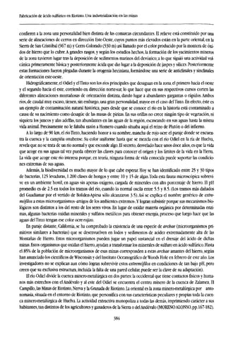 Fabricación de ácido sulfúrico en Riotinto. Una industrialización en las minas
confieren a la zona una personalidad bien distinta de las comarcas circundantes. El relieve está constituido por una
serie de alineaciones de cerros en dirección Este-Oeste, cuyos puntos más elevados están en la parte oriental, en la
Sierra de San Cristóbal (967 m) y Cerro Colorado (530 m) así llamado por el color producido por la montera de óxi-
dos de hierro que lo cubre.A grandes rasgos, y según los estudios hechos, la formación de los yacimientos mineros
de la zona tuvieron lugar tras la deposición de sedimentos marinos del devónico; a lo que siguió una actividad vol-
cánica primeramente básica y posteriormente acida que dio lugar a la deposición de jaspes y sílices. Posteriormente
estas formaciones fueron plegadas durante la orogenia heciniana, formándose una serie de anticlinales y sinclinales
de orientación este-oeste.
Hidrográficamente, el Odiel y elTinto son los ríos principales que desaguan en la zona, el primero hacia el oeste
y el segundo hacia el este, corriendo en dirección norte-sur, lo que hace que en sus respectivos cursos coñen las
diferentes alineaciones montañosas de orientación distinta, dando lugar a abundantes gargantas o rápidos. Ambos
ríos, de caudal muy escaso, tienen, sin embargo, una gran personalidad, mayor en el caso delTinto. En efecto, éste es
un ejemplo de contaminación natural histórica, pues desde que se conoce elríoen la historia está contaminado a
causa de su nacimiento como desagüe de las masas de piritas. En sus orillas no crece ningún tipo de vegetación, ni
siquiera los juncos y alas adelfas, tan abundantes en las aguas de la región, escaseando en sus aguas hasta la misma
vida animal. Precisamente no le faltaba razón a Homero cuando situaba aquí el reino de Plutón o del infierno.
A lo largo de 90 km, elríoTinto, haciendo honor a su nombre, mancha de rojo ocre el paraje donde se encuen-
tra la cuenca y la campiña onubense. Su color uniforme hasta que se mezcla con elríoOdiel en laríade Huelva,
revela que no se trata de unríonormal y que esconde algo. El secreto, desvelado hace unos doce años, es que la vida
que acoge en sus aguas tal vez pueda ofrecer las claves para conocer el origen y los límites de la vida en laTierra.
La vida que acoge esteríointeresa porque, en teoría, ninguna forma de vida conocida puede soportar las condicio-
nes extremas de sus aguas.
Además, la biodiversidad es mucho mayor de lo que cabe esperar. Hoy se han identificado entre 25 y 30 tipos
de bacterias, 125 levaduras, 1.200 clases de hongos y entre 10 y 15 de algas.Toda esta fauna microscópica sobrevi-
ve en un ambiente hostil, en aguas sin apenas oxígeno, cargada de minerales con alto porcentaje de hierro. El pH
promedio es de 2.5 en todos los tramos delrío,cuando lo normal oscila entre 5.5 y 8.5. (Los tramos más dañados
del Guadiamar por el vertido de Boliden-Apirsa sólo alcanzaron 35). Así se explica el nombre genérico de extre-
moflios a estos microorganismos -amigos de los ambientes extremos-.Y logran subsistir porque sus mecanismos bio-
lógicos son distintos a los del resto de los seres vivos, En lugar de oxidar materia orgánica por determinadas enzi-
mas, algunas bacterias oxidan minerales y sulfates metálicos para obtener energía, proceso que luego hace que las
aguas delTinto tengan ese color ocre-rojizo.
En paraje distante, California, se ha comprobado la existencia de una especie de archae (microorganismos pri-
mitivos similares a bacterias) que se desenvuelven en lodos y sedimentos de acidez extremadamente alta de las
Montañas de Hierro. Estos microorganismos pueden jugar un papel sustancial en el drenaje del ácido de dichas
minas.Estos organismos que oxidan el hierro, ayudan a transformar los minerales de sulfuro en ácido sulfúrico. Hasta
el 85% de la población de microorganismos de esas minas corresponden a estas archae amantes del hierro, según
han anunciado los científicos de Wisconsin y del Instituto Oceanógrafico deWoods Hole en febrero de este año. Los
investigadores no se explican aun cómo logran sobrevivir estos extremófllos en condiciones de tan bajo pH, pero
creen que su exclusiva estructura, incluida la falta de una pared celular, puede ser la clave de su adaptación).
ElríoOdiel divide la cuenca minero-metalúrgica en dos partes: la occidental que tiene contactos físicos y huma-
nos más estrechos con el Andévalo y al este del Odiel se encuentra el centro minero de la cuenca de Zalamea, El
Campillo,las Minas de Riotinto, Nerva y la Granada de Riotinto. La oriental es la zona minero-metalúrgica por anto-
nomasia, situada en el entorno de Riotinto, que personifica con sus características peculiares y propias toda la cuen-
ca minero-metalúrgica de Huelva. La actividad extractiva monopoliza a todas las demás, imprimiendo carácter a sus
habitantes,tan distintos de los agricultoresy ganaderos de la Sierra o delAndévalo (MORENOALONSO, pp.167-182).
384
 