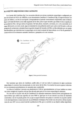 Margarida Genera i Monells,Aureli Alvarez Pérez y Jordi Galindo Torres
EL CONJUNTO ARQUEOLÓGICO DELS CASTELLONS
En el paraje dels Castellons (fig. 2) se encuentra ubicado un extenso yacimiento arqueológico configurado por
dos elevaciones de 99,93 y de 108,89 m. s.n.m. denominados Castellons I y Castellons II (fig. 3) respectivamente con
restos de habitat y un área de necrópolis correspondientes al período cronocultural comprendido entre el Bronce
final y la II edad del Hierro, en la orilla izquierda del río Ebro, junto al gran meandro, que define el área ocupada por
la localidad de Flix y del que deriva el topónimo. Del latín flexus, meandro, curvatura, etc. se ha convertido en el
rasgo diferencial y, en cierto modo, signo de identidad de esta población motivo por cual se está llevando a cabo un
programa de actuaciones orientado hacia la gestión integral del meandro del Ebro en Flix elaborado por un equipo
interdisciplinar que interrelaciona la arqueología con la reserva natural de fauna salvaje con el fin de garantizar la
conservación de los elementos naturales, históricos y paisajísticos de este territorio.
Figura 2. Planta general del yacimiento.
Este topónimo que deriva de Castellum, castillo aldea, el cual nos indica la existencia de algún yacimiento
arqueológico lo tenemos bien documentado en este sector del río Ebro. Con mucha frecuencia aparece relaciona-
do con yacimientos protohistóricos de extensión muy considerable.
La colina de Castellons I presenta una plataforma de 3.000 m2
aproximadamente en la que también se conser-
van varios vestigios de la guerra civil que han afectado gran parte de los restos arqueológicos existentes.
Por otro lado en la parte más alta de Castellons II se extienden numerosas construcciones principalmente de
época ibérica que cubren una superficie de unos 5000 m2
, igual que en el caso anterior con restos de trincheras
construidas a raíz de la pasada guerra civil, ya que en aquel momento este paraje se convirtió en un punto operati-
vo de alta importancia a consecuencia de sus posibilidades estratégicas. Pues desde esta elevación se divisa un pano-
rama de unos 360° con un control total de la población de Flix, que se convirtió en un objetivo militar importante.
269
 