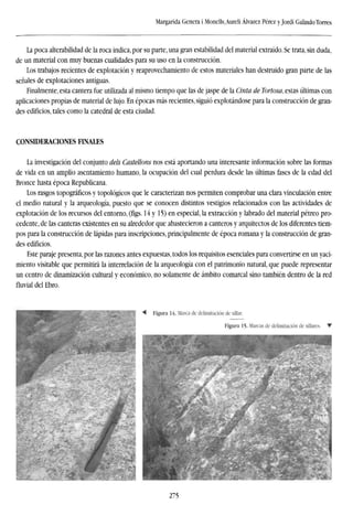 Margarida Genera i Monells.Aureli Alvarez Pérez y Jordi GalindoTorres
La poca alterabilidad de la roca indica, por su parte, una gran estabilidad del material extraído. Se trata, sin duda,
de un material con muy buenas cualidades para su uso en la construcción.
Los trabajos recientes de explotación y reaprovechamiento de estos materiales han destruido gran parte de las
señales de explotaciones antiguas.
Finalmente, esta cantera fue utilizada al mismo tiempo que las de jaspe de la Cinta de Tortosa, estas últimas con
aplicaciones propias de material de lujo. En épocas más recientes, siguió explotándose para la construcción de gran-
des edificios, tales como la catedral de esta ciudad.
CONSIDERACIONES FINALES
La investigación del conjunto deis Castellons nos está aportando una interesante información sobre las formas
de vida en un amplio asentamiento humano, la ocupación del cual perdura desde las últimas fases de la edad del
Bronce hasta época Republicana.
Los rasgos topográficos y topológicos que le caracterizan nos permiten comprobar una clara vinculación entre
el medio natural y la arqueología, puesto que se conocen distintos vestigios relacionados con las actividades de
explotación de los recursos del entorno, (figs. 14 y 15) en especial, la extracción y labrado del material pétreo pro-
cedente, de las canteras existentes en su alrededor que abastecieron a canteros y arquitectos de los diferentes tiem-
pos para la construcción de lápidas para inscripciones, principalmente de época romana y la construcción de gran-
des edificios.
Este paraje presenta, por las razones antes expuestas, todos los requisitos esenciales para convertirse en un yaci-
miento visitable que permitirá la interrelacion de la arqueología con el patrimonio natural, que puede representar
un centro de dinamizacion cultural y económico, no solamente de ámbito comarcal sino también dentro de la red
fluvial del Ebro.
275
 