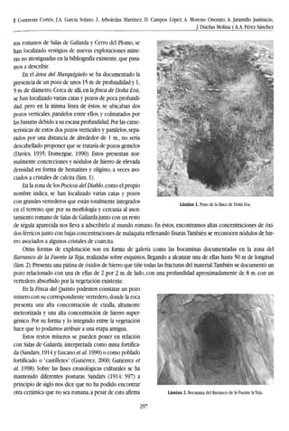F. Contreras Cortés, J.A. García Solano, L. Arboledas Martínez, D. Campos López, A. Moreno Onorato, A. Jaramillo Justinicio,
J. Dueñas Molina y A.A. Pérez Sánchez
Lámina 1. Pozo de la finca de Doña Eva.
ros romanos de Salas de Galiarda y Cerro del Plomo, se
han localizado vestigios de nuevas explotaciones mine-
ras no atestiguadas en la bibliografía existente, que pasa-
mos a describir.
En el área del Murquigüelo se ha documentado la
presencia de un pozo de unos 15 m. de profundidad y 1,
5 m. de diámetro. Cerca de allí, ente.finca de Doña Eva,
se han localizado varias catas y pozos de poca profundi-
dad, pero en la misma línea de éstos, se ubicaban dos
pozos verticales, paralelos entre ellos, y colmatados por
las basuras debido a su escasa profundidad. Por las carac-
terísticas de estos dos pozos verticales y paralelos, sepa-
rados por una distancia de alrededor de 1 m., no sería
descabellado proponer que se trataría de pozos gemelos
(Davies, 1935; Domergue, 1990). Estos presentan nor-
malmente concreciones y nodulos de hierro de elevada
densidad en forma de hematites y oligisto, a veces aso-
ciados a cristales de calcita (lám. 1).
En la zona de los Pódeos del Diablo, como el propio
nombre indica, se han localizado varias catas y pozos
con grandes vertederos que están totalmente integrados
en el terreno, que por su morfología y cercanía al asen-
tamiento romano de Salas de Galiarda junto con un resto
de tégula aparecida nos lleva a adscribirlo al mundo romano. En éstos, encontramos altas concentraciones de óxi-
dos férricos junto con bajas concentraciones de malaquita rellenandofisuras.Tambiénse reconocen nodulos de hie-
rro asociados a algunos cristales de cuarcita.
Otras formas de explotación son en forma de galería como las bocaminas documentadas en la zona del
Barranco de la Fuente la Teja, realizadas sobre esquistos, llegando a alcanzar una de ellas hasta 50 m de longitud
(lám. 2). Presenta una pátina de óxidos de hierro que tiñe todas las fracturas del material.Tambien se documentó un
pozo relacionado con una de ellas de 2 por 2 m. de lado, con una profundidad aproximadamente de 8 m. con un
vertedero absorbido por la vegetación existente.
En la Finca del Quinto podemos constatar un pozo
minero con su correspondiente vertedero, donde la roca
presenta una alta concentración de cizalla, altamente
meteorizada y una alta concentración de hierro super-
génico. Por su forma y lo integrado entre la vegetación
hace que lo podamos atribuir a una etapa antigua.
Estos restos mineros se pueden poner en relación
con Salas de Galiarda, interpretada como mina fortifica-
da (Sandars, 1914 y Lizcano et al. 1990) o como poblado
fortificado o "castilletes" (Gutiérrez, 2000; Gutiérrez et
al. 1998). Sobre las fases cronológicas culturales se ha
mantenido diferentes posturas. Sandars (1914: 597) a
principio de siglo nos dice que no ha podido encontrar
Otra cerámica que no Sea romana, a pesar de esto afirma Lámina 2. Bocamina del Barranco de la Fuente la Teja.
297
 