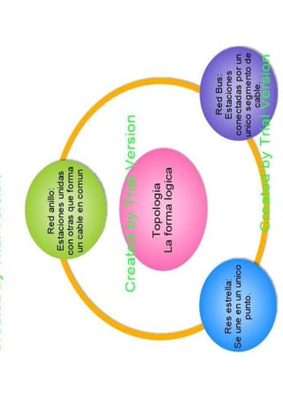 ORGANIZADORES GRÁFICOS 2