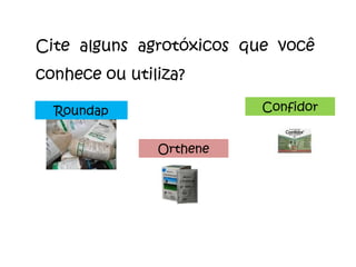 Cite alguns agrotóxicos que você conhece ou utiliza? Roundap Orthene Confidor 