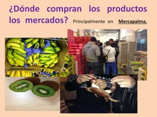 ¿Dónde compran los productos
los mercados? Principalmente en Mercapalma.
 