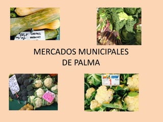 MERCADOS MUNICIPALES
DE PALMA
 