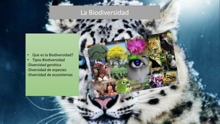 La Biodiversidad
• Que es la Biodiversidad?
• Tipos Biodiversidad
-Diversidad genética
-Diversidad de especies
-Diversidad de ecosistemas
 