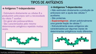 TIPOS DE ANTÍGENOS
→ Antígenos T-independentes
- Estimularm diretamente as células B a
produzirem anticorpos sem a necessidade
da célula T auxiliar.
- Em geral são polissacarídeos.
- São caracterizados pelo mesmo
determinante antigênico repetido muitas
vezes.
Profª.Zilka: ANTÍGENOS-ANTICORPOS Fonte: http://www.microbiologybook.org/Portuguese/immuno-port-chapter3.htm
→ Antígenos T-dependentes
- Não estimulam diretamente a produção de
anticorpos sem a ajuda das células T
auxiliares.
- São proteínas.
- Superantígenos ativam policlonalmente
uma grande fração de células T.
- Estruturalmente esses antígenos são
caracterizados por algumas cópias de
determinantes antigênicos muito diferentes.
 