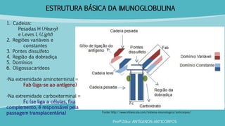 ESTRUTURA BÁSICA DA IMUNOGLOBULINA
Profª.Zilka: ANTÍGENOS-ANTICORPOS
Fonte: http://www.infoescola.com/sistema-imunologico/anticorpos/
1. Cadeias:
Pesadas H (Heavy)
e Leves L (Light)
2. Regiões variáveis e
constantes
3. Pontes dissulfeto
4. Região da dobradiça
5. Domínios
6. Oligossacarídeos
-Na extremidade aminoterminal =
Fab (liga-se ao antígeno)
-Na extremidade carboxiterminal =
Fc (se liga a células, fixa
complemento, é responsável pela
passagem transplacentária)
 