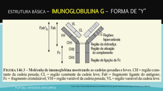 ESTRUTURA BÁSICA – IMUNOGLOBULINA G – FORMA DE “Y”
Profª.Zilka: ANTÍGENOS-ANTICORPOS
Fonte: http://www.msdlatinamerica.com/profissionais_da_saude/manual_merck/secao_12/secao_12_146.html
 