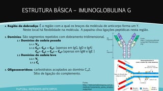 ESTRUTURA BÁSICA – IMUNOGLOBULINA G
Profª.Zilka: ANTÍGENOS-ANTICORPOS
Fonte:
https://commons.wikimed
ia.org/wiki/File:Anticorps.
png
4. Região da dobradiça: É a região com a qual os braços da molécula de anticorpo forma um Y.
Neste local há flexibilidade na molécula. A papaína cliva ligações peptídicas nesta região.
5. Domínios: São segmentos repetidos com dobramento tridimensional.
2.1 Domínios de cadeia pesada
2.1.1 VH
2.1.2 CH1- CH2 – CH3 [apenas em IgG, IgD e IgA]
CH1- CH2 – CH3 – CH4 [apenas em IgM e IgE ]
2.2 Domínios de cadeia leve
2.2.1 VL
2.1.2 CL
3. Oligossacarídeos: carboidratos acoplados ao domínio CH2.
Sítio de ligação do complemento.
Fonte:
http://www.asmabronquica.com.br/
medical/tratamento_asma_omalizu
mabe.html
 