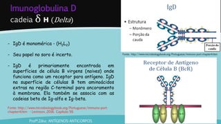 Imunoglobulina D
cadeia δ H (Delta)
Profª.Zilka: ANTÍGENOS-ANTICORPOS
Fonte: http://www.microbiologybook.org/Portuguese/immuno-port-chapter4.htm
- IgD é monomérica - (H2L2)
- Seu papel no soro é incerto.
- IgD é primariamente encontrada em
superfícies de célula B virgens (naives) onde
funciona como um receptor para antígeno. IgD
na superfície de células B tem aminoácidos
extras na região C-terminal para ancoramento
à membrana. Ela também se associa com as
cadeias beta de Ig-alfa e Ig-beta.
Fonte: http://www.microbiologybook.org/Portuguese/immuno-port-
chapter4.htm - Levinson, 2016. Capítulo 59.
 