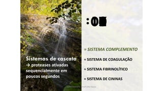 :
Sistemas de cascata
→ proteases ativadas
sequencialmente em
poucos segundos
100908070605040302010
≈ SISTEMA COMPLEMENTO
≈ SISTEMA DE COAGULAÇÃO
≈ SISTEMA FIBRINOLÍTICO
≈ SISTEMA DE CININAS
COMPLEMENTO - Profª.Zilka Nanes
 