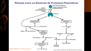 Fonte: https://pt.slideshare.net/raytostes/aula-de-inflamacao
COMPLEMENTO - Profª.Zilka Nanes
 