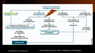 Fonte: Robbins; Cotran, 2012. Fundamentos de Patologia.COMPLEMENTO - Profª.Zilka Nanes
 