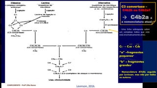 COMPLEMENTO - Profª.Zilka Nanes
__ __
C2 → C2a + C2b
“a” –fragmentos
pequenos*
“b” – fragmentos
grandes*
* Nomenclatura ATUAL seguida
por Levinson, mas não por todos
os autores.
Levinson, 2016.
- Uma linha sobreposta sobre
um complexo indica que este
está enzimaticamente ativo.
C3 convertase –
C4b2b ou C4b2a?
→ C4b2a é
a nomenclatura atual
 