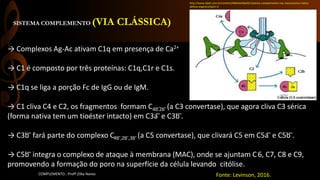 SISTEMA COMPLEMENTO (VIA CLÁSSICA)
COMPLEMENTO - Profª.Zilka Nanes
→ Complexos Ag-Ac ativam C1q em presença de Ca2+
→ C1 é composto por três proteínas: C1q,C1r e C1s.
→ C1q se liga a porção Fc de IgG ou de IgM.
→ C1 cliva C4 e C2, os fragmentos formam C4b ̅2b ̅ (a C3 convertase), que agora cliva C3 sérica
(forma nativa tem um tioéster intacto) em C3a ̅ e C3b ̅.
→ C3b ̅ fará parte do complexo C4b ̅,2b ̅,3b ̅ (a C5 convertase), que clivará C5 em C5a ̅ e C5b ̅.
→ C5b ̅ integra o complexo de ataque à membrana (MAC), onde se ajuntam C6, C7, C8 e C9,
promovendo a formação do poro na superfície da célula levando citólise.
Fonte: Levinson, 2016.
http://www.ebah.com.br/content/ABAAAAQxIAE/sistema-complemento-nos-mecanismos-inatos-
defesa-organica?part=3
 