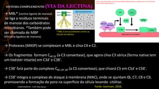 SISTEMA COMPLEMENTO (VIA DA LECTINA)
COMPLEMENTO - Profª.Zilka Nanes
→ MBL* (Lectina ligante de manose)
se liga a resíduos terminais
de manose dos carboidratos
microbianos. *Também pode
ser chamada de MBP
(Proteína ligadora de manana).
→ Proteases (MASP) se complexam a MBL e cliva C4 e C2.
→ Os fragmentos formam C4b ̅2b ̅ (a C3 convertase), que agora cliva C3 sérica (forma nativa tem
um tioéster intacto) em C3a ̅ e C3b ̅.
→ C3b ̅ fará parte do complexo C4b ̅,2b ̅,3b ̅ (a C5 convertase), que clivará C5 em C5a ̅ e C5b ̅.
→ C5b ̅ integra o complexo de ataque à membrana (MAC), onde se ajuntam C6, C7, C8 e C9,
promovendo a formação do poro na superfície da célula levando citólise.
Fonte: Levinson, 2016.
Fonte: http://www.ebah.com.br/content/ABAAAAQxIAE/sistema-complemento-nos-mecanismos-
inatos-defesa-organica?part=3
* MBL é estruturalmente similar ao
C1q da via clássica.
 