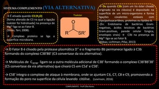 SISTEMA COMPLEMENTO (VIA ALTERNATIVA)
COMPLEMENTO - Profª.Zilka Nanes
Fonte: http://www.wikiwand.com/es/Tio%C3%A9ster
Tioéster→ É ativada quando C3 (H2O)
[forma alterada de C3 na qual a ligação
tioéster foi hidrolisada] na presença de
Mg2+ liga-se ao Fator B.
(Stites; Terr, 2008).
→ Complexo proteíco se liga a
superfície microbiana.
→ Ou quando C3b [com um tio éster clivado
originado na via clássica] é depositado na
superfície de um micro-organismo e forma
ligações covalentes estáveis com
(lipo)polissacarídeos, proteínas ou lipídeo A.
-{Ex: Endotoxina de bactérias Gram-
negativas, ácidos teicóicos de bactérias
Gram-positivas, parede celular fúngica,
envelopes virais} → C3b na presença de
Mg2+ liga-se ao Fator B.
(Abbas; Lichtman; Pillai, 2013)
→ O Fator B é clivado pela protease plasmática D ̅ e o fragmento Bb permanece ligado à C3b
formando do complexo C3b ̅Bb ̅ (C3 convertase da via alternativa).
→ Moléculas de C3b ̅Bb ̅ ligam-se a outra molécula adicional de C3b ̅ formando o complexo C3b ̅Bb ̅3b ̅
(C5 convertase da via alternativa) que clivará C5 em C5a ̅ e C5b ̅.
→ C5b ̅ integra o complexo de ataque à membrana, onde se ajuntam C6, C7, C8 e C9, promovendo a
formação do poro na superfície da célula levando citólise. (Levinson, 2016)
 