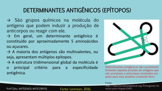 DETERMINANTES ANTIGÊNICOS (EPÍTOPOS)
→ São grupos químicos na molécula do
antígeno que podem induzir a produção de
anticorpos ou reagir com ele.
→ Em geral, um determinante antigênico é
constituído por aproximadamente 5 aminoácidos
ou açucares.
→ A maioria dos antígenos são multivalentes, ou
seja, apresentam múltiplos epítopos.
→ A estrutura tridimensional global da molécula é
o principal critério para a especificidade
antigênica.
Profª.Zilka: ANTÍGENOS-ANTICORPOS Fonte: Levinson, 2016.
Determinantes antigênicos são usualmente
limitados àquelas porções do antígeno que
são acessíveis a anticorpos mostrados em
preto para esta proteína contendo ferro.
Fonte:
http://www.microbiologybook.org/Portuguese/im
muno-port-chapter3.htm
 