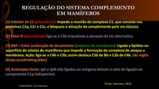 REGULAÇÃO DO SISTEMA COMPLEMENTO
EM MAMÍFEROS
COMPLEMENTO - Profª.Zilka Nanes
(1) Inibidor de C1 (plasmático): Impede a reunião do complexo C1, que consiste nas
proteínas C1q, C1r e C1s, e bloqueia a ativação do complemento pela via clássica.
(2) Fator H (plasmático): liga-se a C3b impedindo a ativação da via alternativa.
(3) DAF = Fator aceleração de decaimento (proteína de membrana): Ligada a lipídios na
superfície de células de mamíferos que impede a formação do complexo de ataque a
membrana. Ação: liga-se a C4b e C3b; assim desloca C3b de Bb e C2b de C4b. (do inglês
decay-accelerating fator)
(4) Anticorpos livres: IgG e IgM não ligados ao antígeno deixam o sítio de ligação ao
componente C1q indisponível.
Fonte: Levinson, 2016.
 