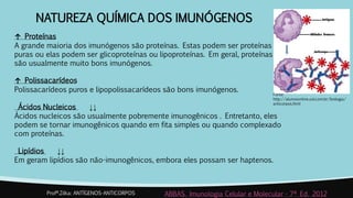 NATUREZA QUÍMICA DOS IMUNÓGENOS
↑ Proteínas
A grande maioria dos imunógenos são proteínas. Estas podem ser proteínas
puras ou elas podem ser glicoproteínas ou lipoproteínas. Em geral, proteínas
são usualmente muito bons imunógenos.
↑ Polissacarídeos
Polissacarídeos puros e lipopolissacarídeos são bons imunógenos.
Ácidos Nucleicos ↓↓
Ácidos nucleicos são usualmente pobremente imunogênicos . Entretanto, eles
podem se tornar imunogênicos quando em fita simples ou quando complexado
com proteínas.
Lipídios ↓↓
Em geram lipídios são não-imunogênicos, embora eles possam ser haptenos.
Profª.Zilka: ANTÍGENOS-ANTICORPOS ABBAS. Imunologia Celular e Molecular - 7ª Ed. 2012
Fonte:
http://alunosonline.uol.com.br/biologia/
anticorpos.html
 
