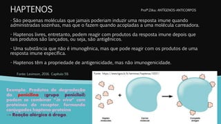 HAPTENOS
- São pequenas moléculas que jamais poderiam induzir uma resposta imune quando
administradas sozinhas, mas que o fazem quando acopladas a uma molécula carreadora.
- Haptenos livres, entretanto, podem reagir com produtos da resposta imune depois que
tais produtos são lançados, ou seja, são antigênicos.
- Uma substância que não é imunogênica, mas que pode reagir com os produtos de uma
resposta imune específica.
- Haptenos têm a propriedade de antigenicidade, mas não imunogenicidade.
Exemplo: Produtos de degradação
da penicilina (grupo peniciloil)
podem se combinar “in vivo” com
proteínas do receptor, formando
conjugados hapteno-proteína
→ Reação alérgica à droga.
Fonte: https://www.ligos.lt/lt/terminai/haptenai/1037/
Profª.Zilka: ANTÍGENOS-ANTICORPOS
Fonte: Levinson, 2016. Capítulo 59.
 