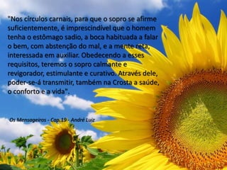 "Nos círculos carnais, para que o sopro se afirme
suficientemente, é imprescindível que o homem
tenha o estômago sadio, a boca habituada a falar
o bem, com abstenção do mal, e a mente reta,
interessada em auxiliar. Obedecendo a esses
requisitos, teremos o sopro calmante e
revigorador, estimulante e curativo. Através dele,
poder-se-á transmitir, também na Crosta a saúde,
o conforto e a vida".
Os Mensageiros - Cap.19 - André Luiz
 