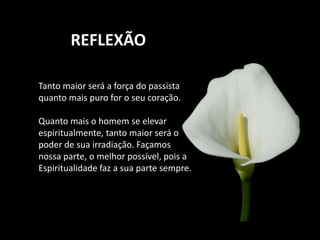 REFLEXÃO
Tanto maior será a força do passista
quanto mais puro for o seu coração.
Quanto mais o homem se elevar
espiritualmente, tanto maior será o
poder de sua irradiação. Façamos
nossa parte, o melhor possível, pois a
Espiritualidade faz a sua parte sempre.
 